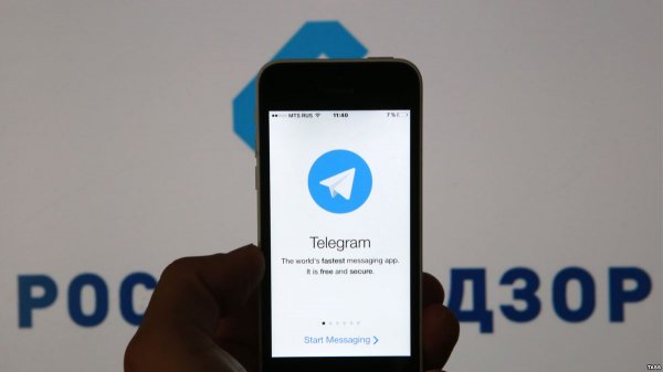 Оглашен срок начала блокировки Telegram