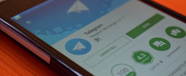 Экс-замглавы Роскомнадзора завел Telegram-канал после блокировки месседжера